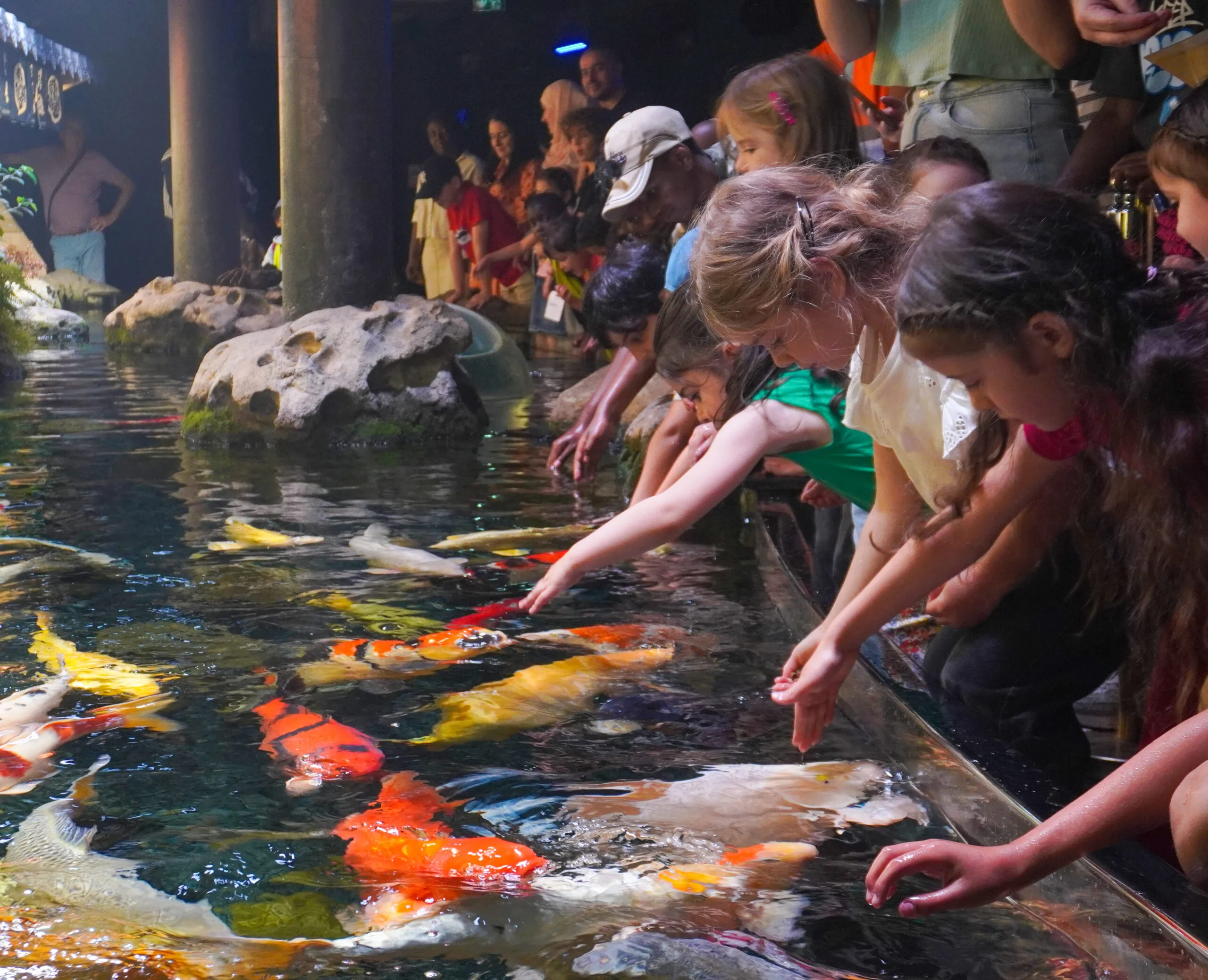 Seasonal Events at the Paris Aquarium: Holiday Themes, Educational Workshops & Night Experiences